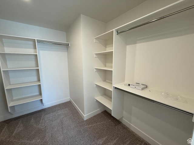 walk in closet with dark carpet