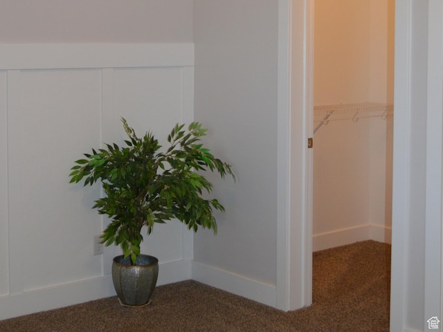 1921 N Crest Rd, Saratoga Springs, UT 84045 - detailed view of carpet and baseboards