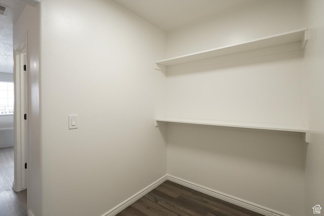 walk in closet featuring visible vents and dark wood-type flooring