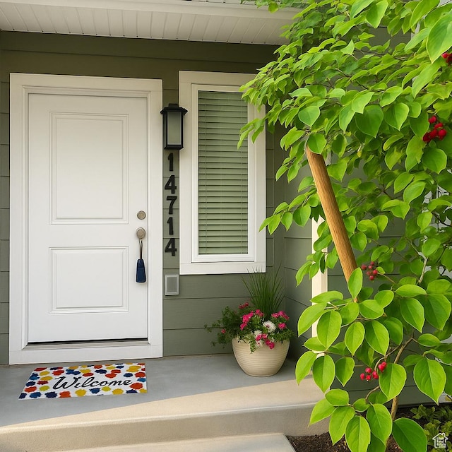 14714 S Rising Star Way, Bluffdale, UT 84065 - entrance to property