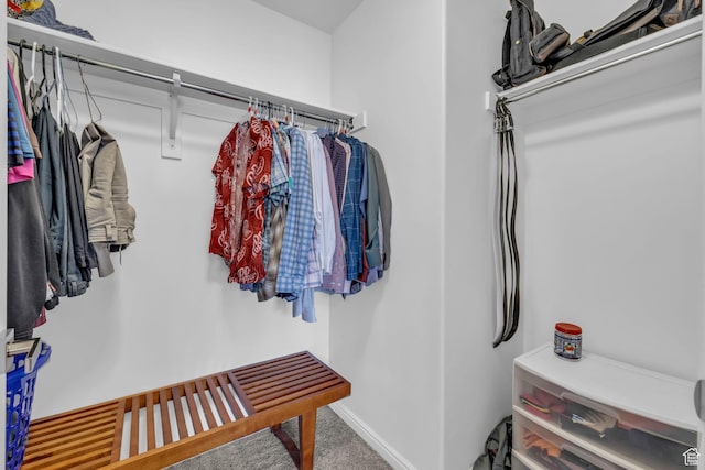 14714 S Rising Star Way, Bluffdale, UT 84065 - spacious closet featuring carpet flooring