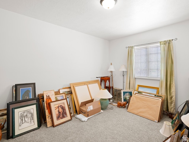 interior space with carpet