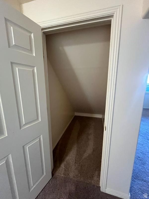 407 W Larkspur Ln, Morgan, UT 84050 - view of closet