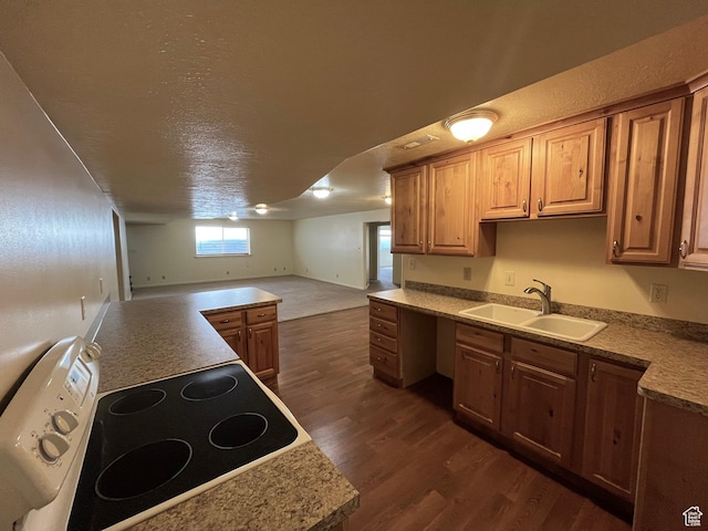 407 W Larkspur Ln, Morgan, UT 84050 - kitchen with a sink, a textured ceiling, dark wood-style flooring, open floor plan, and electric stove