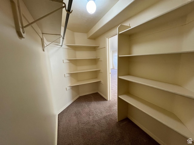 407 W Larkspur Ln, Morgan, UT 84050 - spacious closet featuring carpet