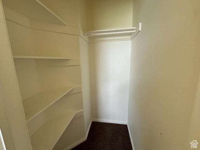 407 W Larkspur Ln, Morgan, UT 84050 - view of walk in closet