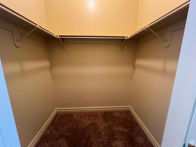 407 W Larkspur Ln, Morgan, UT 84050 - walk in closet featuring carpet