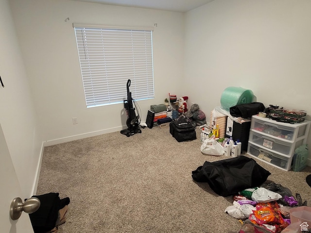 8692 W Beckville Dr S, Magna, UT 84044 - photo 16