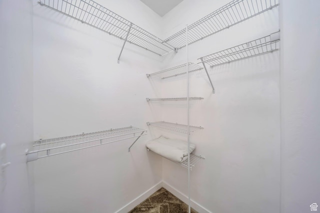spacious closet with carpet flooring