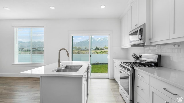 794 Brook Ave E, Tooele, UT 84074 - kitchen featuring stainless steel appliances, a sink, a wealth of natural light, light wood-type flooring, and an island with sink