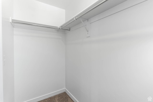 spacious closet featuring carpet