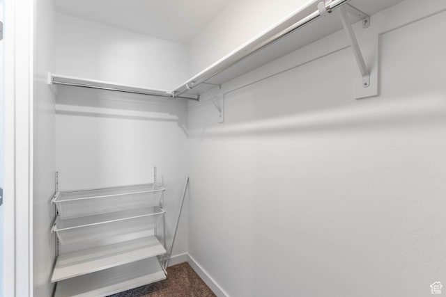 walk in closet with dark carpet
