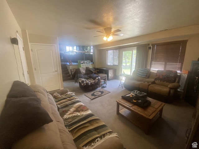 3351 S Raquel Cir, West Valley City, UT 84120 - photo 19