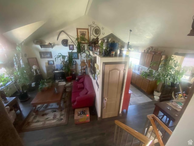 living room featuring vaulted ceiling