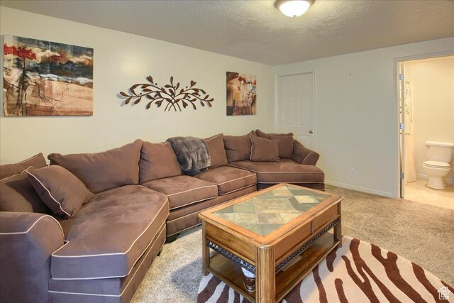 living area with carpet floors, a textured ceiling, and baseboards