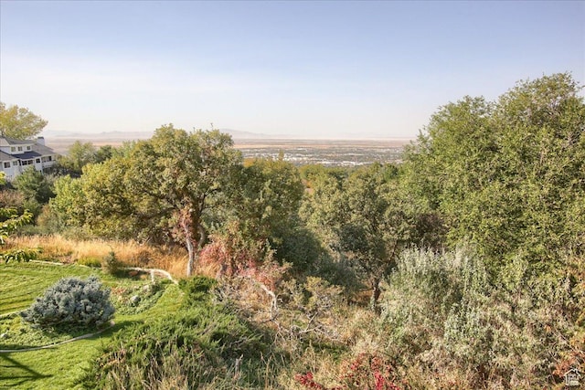 view of local wilderness