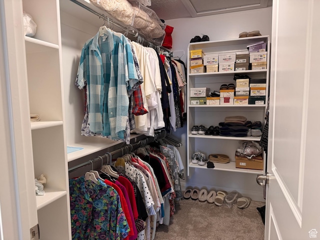 walk in closet with attic access and carpet