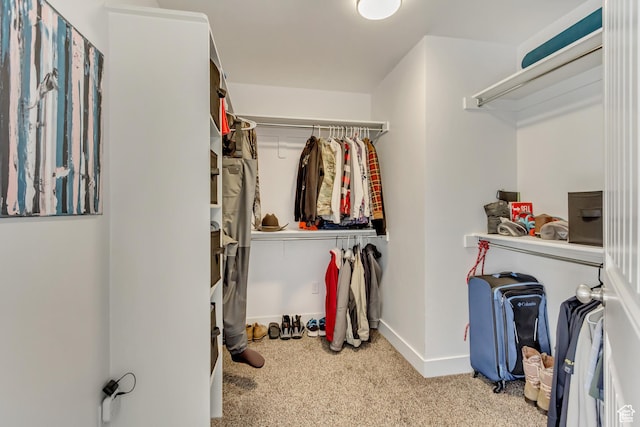 8459 N Western Gailes Dr, Eagle Mountain, UT 84005 - spacious closet featuring carpet floors