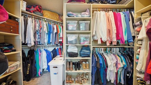 spacious closet featuring carpet flooring