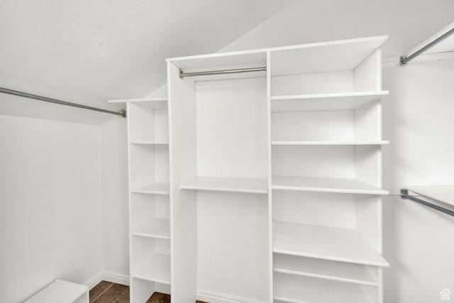 2590 W Central Pk Cir, Taylorsville, UT 84129 - view of spacious closet