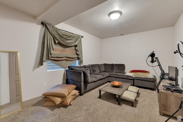 11113 S Cadbury Dr, South Jordan, UT 84095 - view of carpeted living room