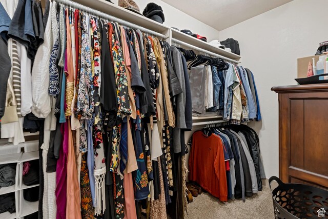 11113 S Cadbury Dr, South Jordan, UT 84095 - spacious closet with carpet
