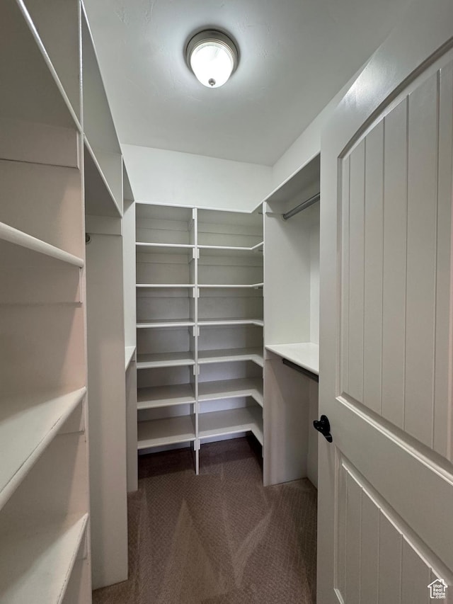 walk in closet featuring carpet