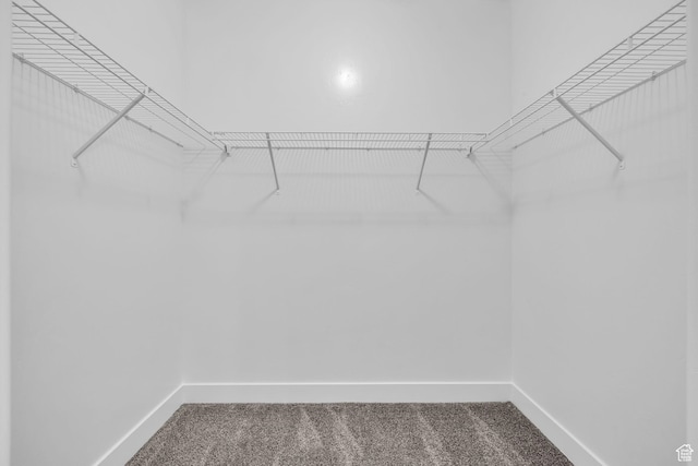84 W Silver Springs Dr, Vineyard, UT 84059 - walk in closet featuring carpet floors