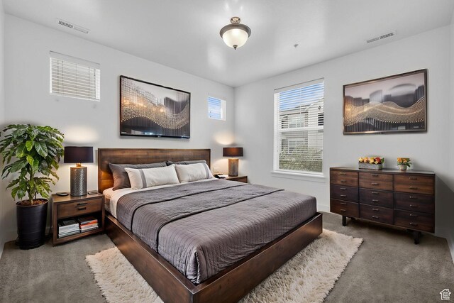 84 W Silver Springs Dr, Vineyard, UT 84059 - carpeted bedroom featuring visible vents
