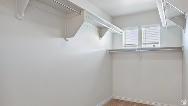 walk in closet with carpet