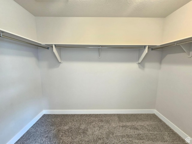 walk in closet with carpet floors