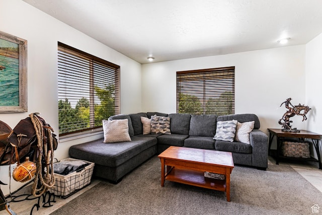 living area featuring carpet floors