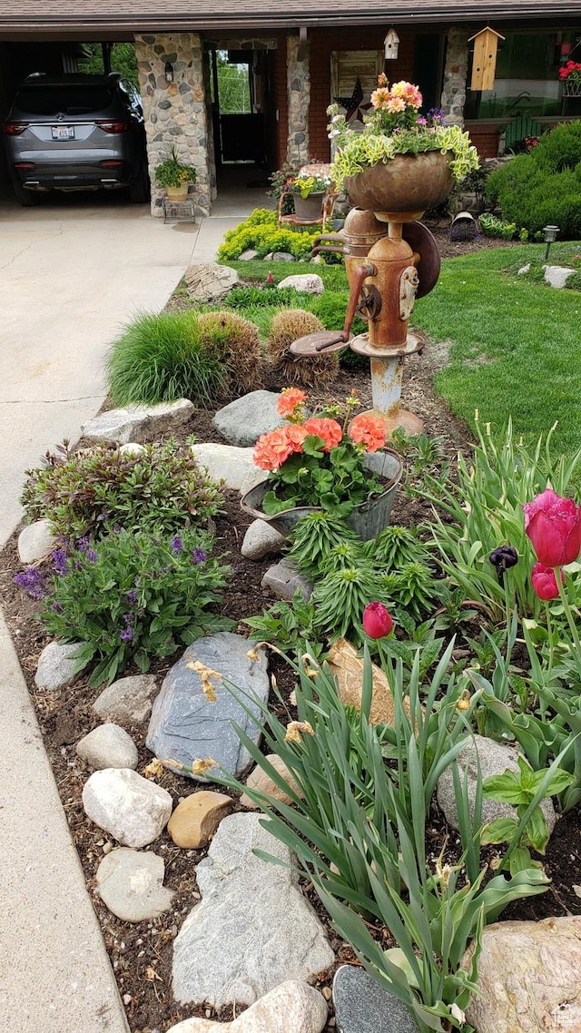 view of yard with concrete driveway