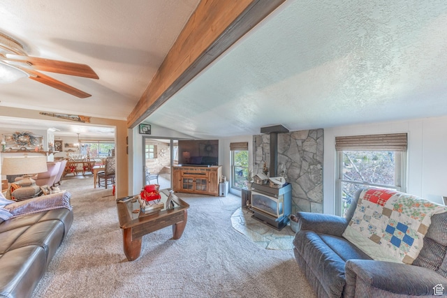 living room with a ceiling fan, a wood stove, a healthy amount of sunlight, and carpet