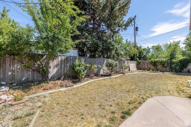 view of yard with a fenced backyard