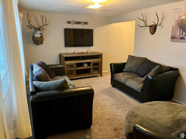 440 S 400 W, Preston, ID 83263 - living room featuring a textured ceiling and carpet