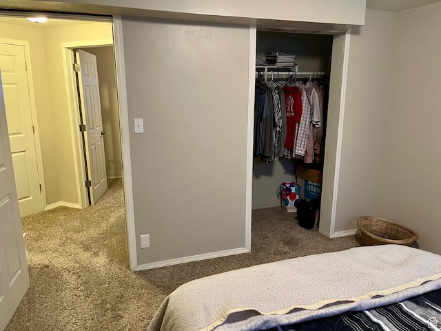 440 S 400 W, Preston, ID 83263 - carpeted bedroom featuring a spacious closet and a closet
