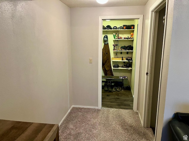 440 S 400 W, Preston, ID 83263 - hallway with carpet flooring