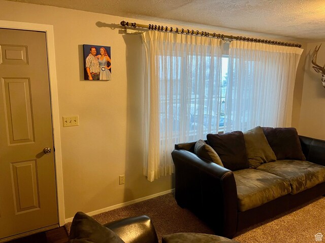 440 S 400 W, Preston, ID 83263 - living area featuring carpet floors, baseboards, and a textured ceiling
