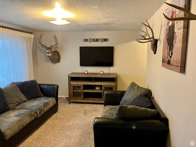 440 S 400 W, Preston, ID 83263 - living area featuring carpet and a textured ceiling