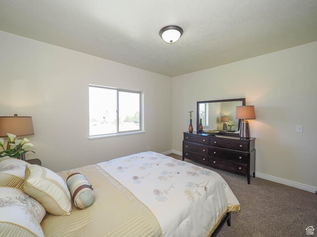 851 E Oak Ct Unit 28, Tooele, UT 84074 - bedroom featuring baseboards and carpet floors