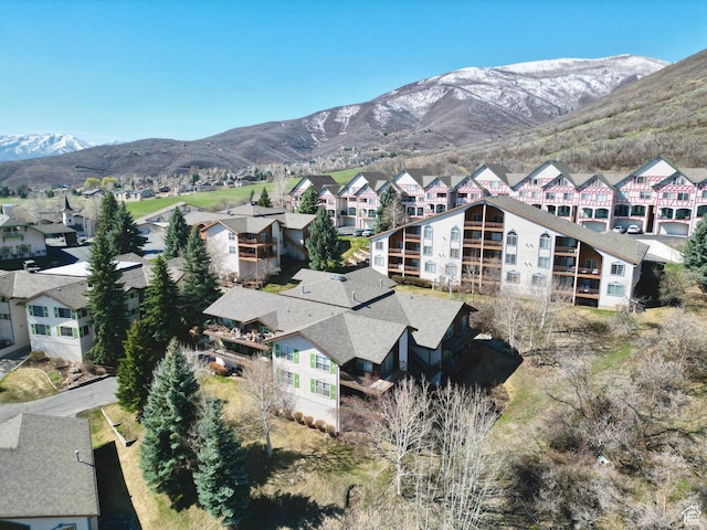 1004 Uri Ln, Midway, UT 84049 - drone / aerial view featuring a mountain view and a residential view