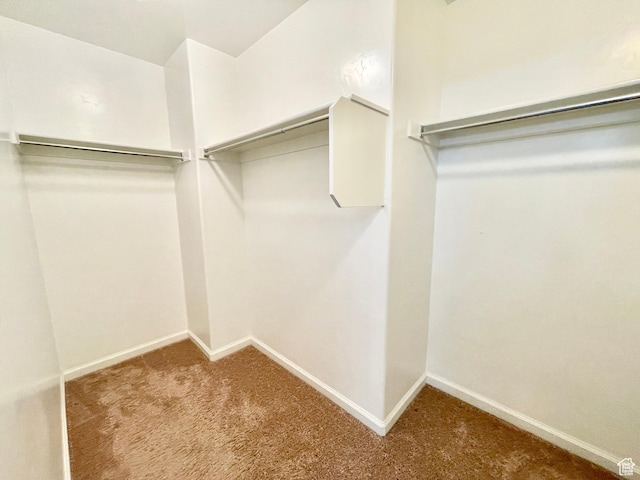 3859 W Young Lucerne Cir, Riverton, UT 84065 - spacious closet featuring carpet floors
