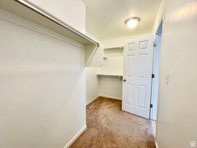 3859 W Young Lucerne Cir, Riverton, UT 84065 - spacious closet with light carpet