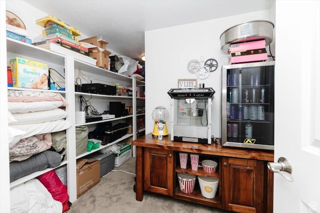 535 N Pheasant Hollow Ln, Mendon, UT 84325 - view of storage