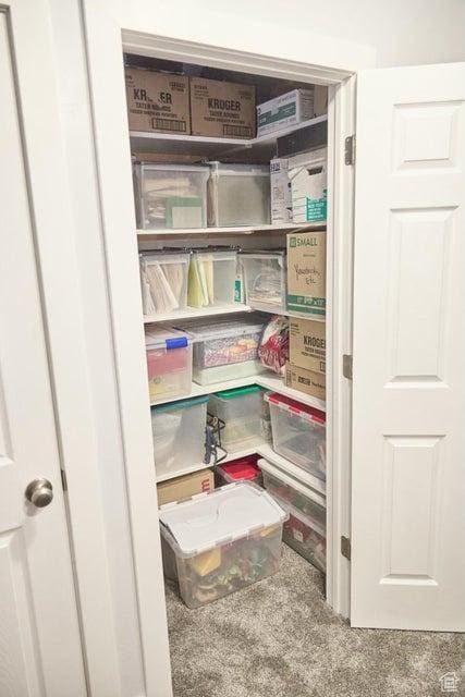 174 S 200 E, Pine Valley, UT 84781 - view of storage room