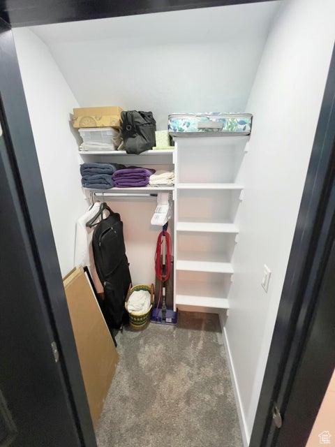 174 S 200 E, Pine Valley, UT 84781 - spacious closet featuring carpet flooring