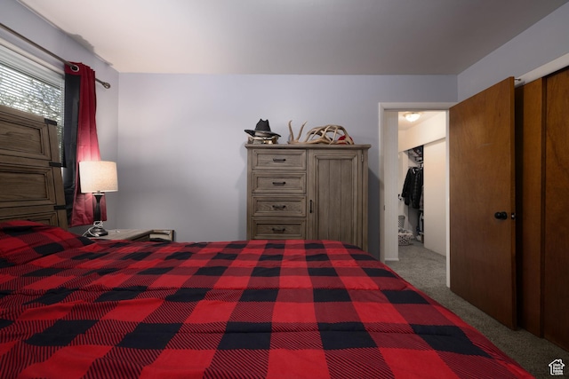 bedroom featuring carpet flooring and a closet