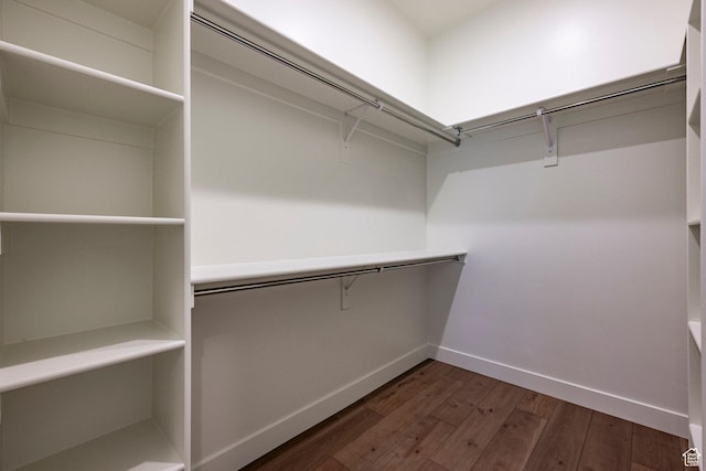 495 W Ascent Dr, Hideout, UT 84036 - walk in closet with wood-type flooring