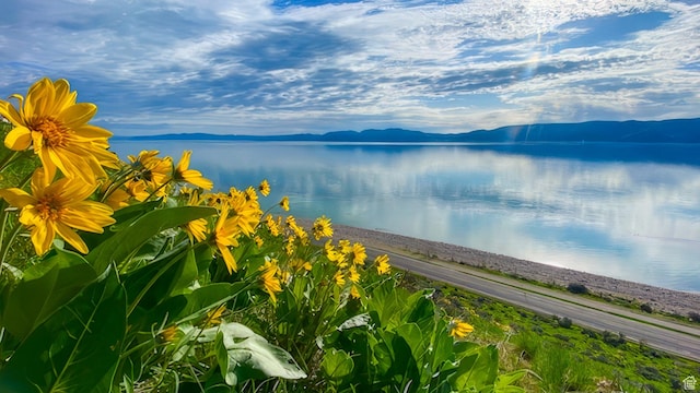 2904 S Edgemont Dr, Garden City, UT 84028 - water view featuring a mountainous background